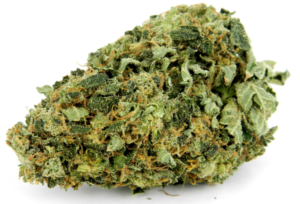 Hindu-Kush-Weed-Strain1 marijuana seeds
