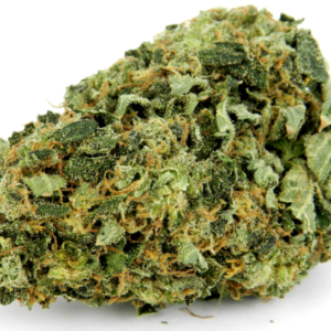 Hindu-Kush-Weed-Strain1 marijuana seeds